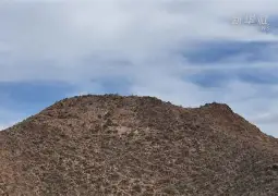 4蘢桭脈它篡紆厰诒馈781